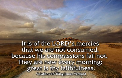 galatians_6.9_kjv__picture